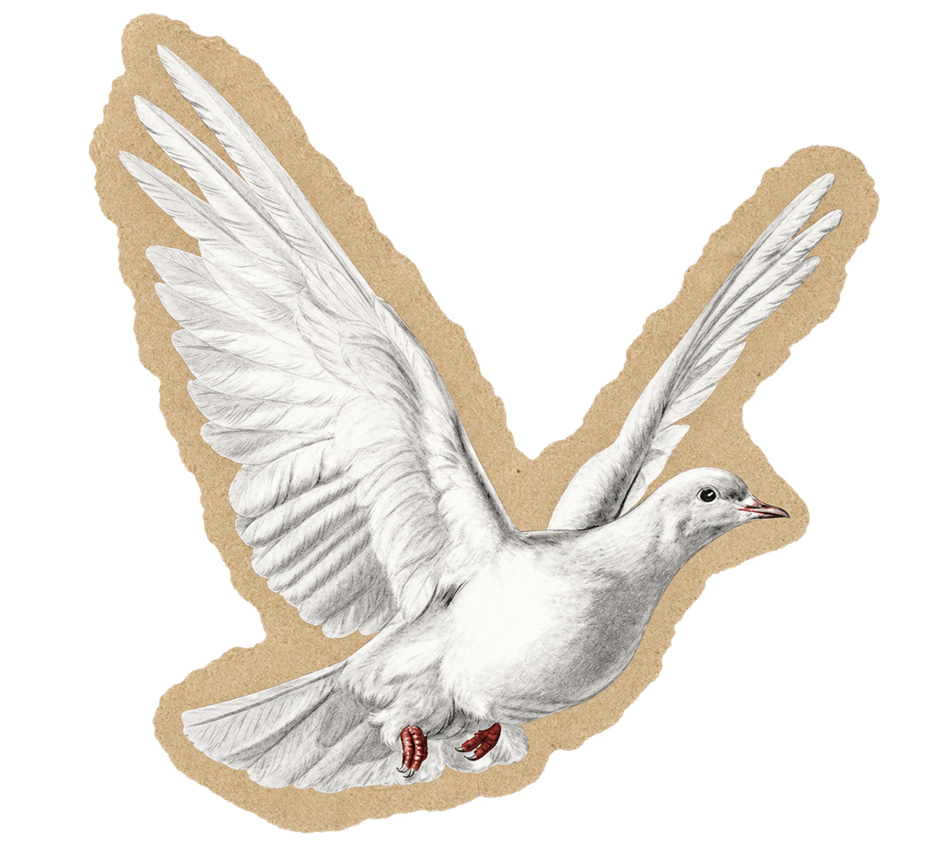 Dove sticker